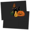 Zwarte kaart met kat en pompoenen van Zon & Maan illustraties