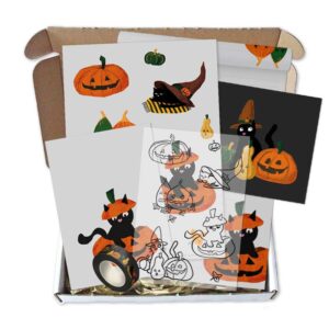 Exclusieve box Cattastic Pumpkin van Zon & Maan illustraties